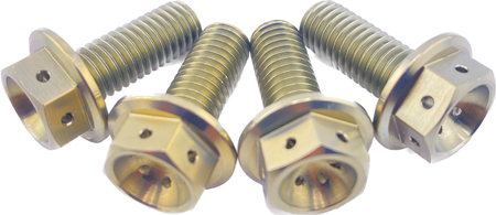 CRF110 Titanium foot peg mount bolts - Factory Minibikes
