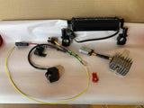 NEW Plug and Play LED Light Bar Kit - 4400 Lumens - Factory Minibikes