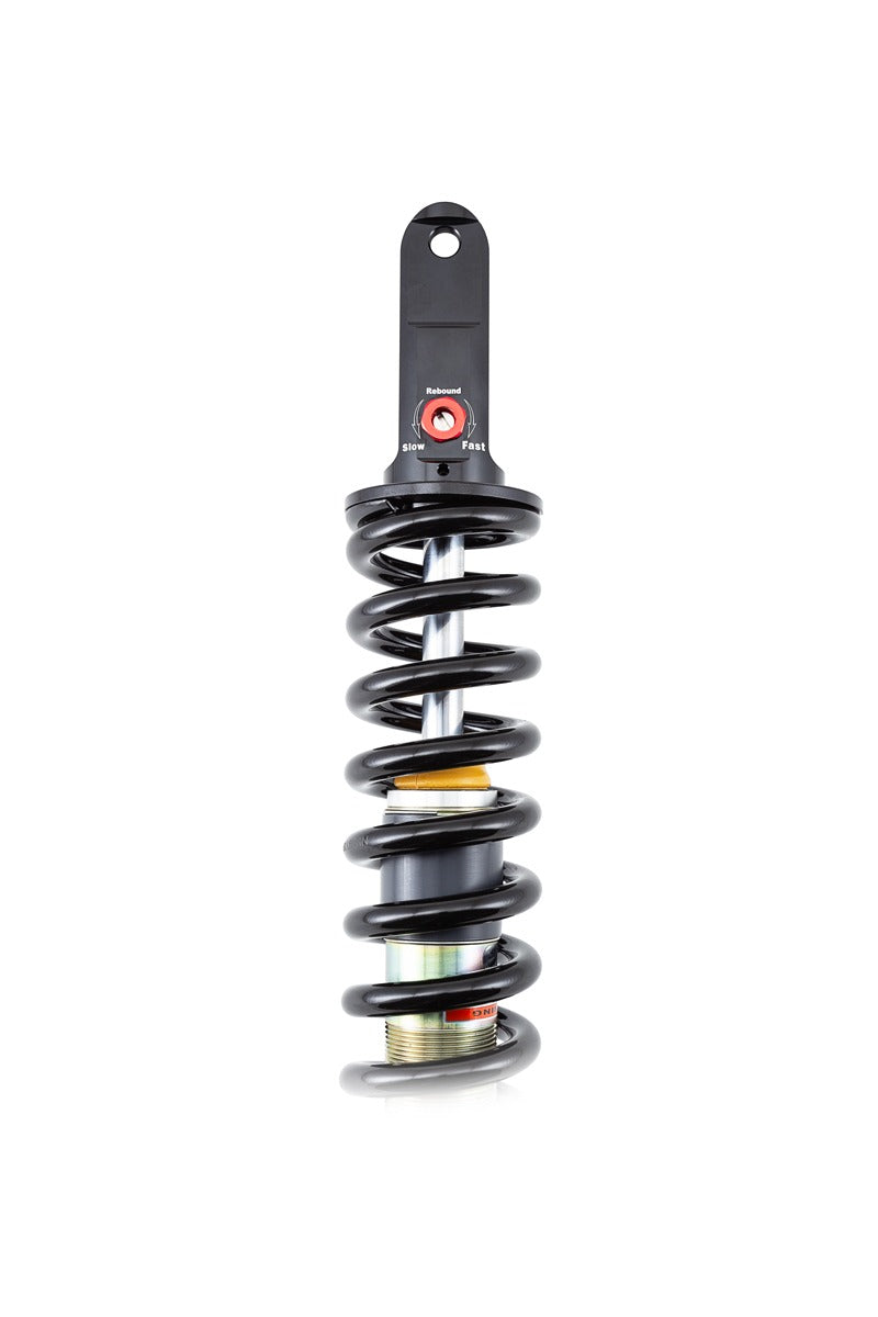 HD Rear Shock & Front Fork Springs – KLX140 R & L - alternate view 2
