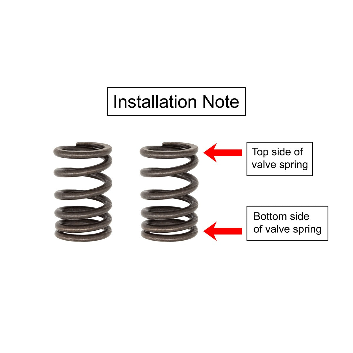 TB Valve springs, HD – KLX140 - alternate view 2