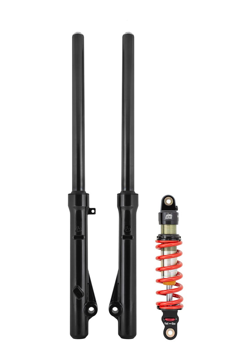 TB Forks, HD springs w/Black TiN Coated uppers, & 350# DNM Shock kit – CRF110