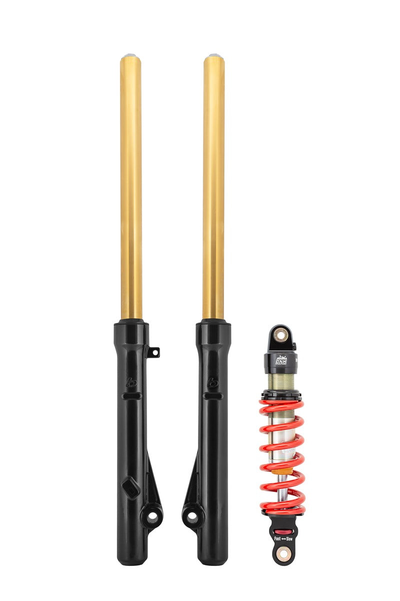 TB Forks, HD springs w/Gold TiN Coated uppers, & 350# DNM Shock kit – CRF110