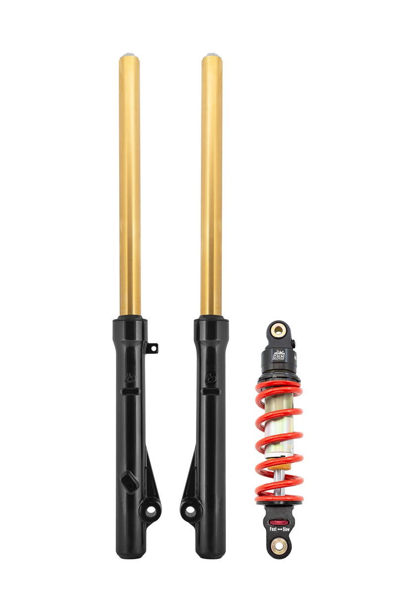TB Forks, HD springs w/Gold TiN Coated uppers, & 340# DNM Shock kit – CRF110