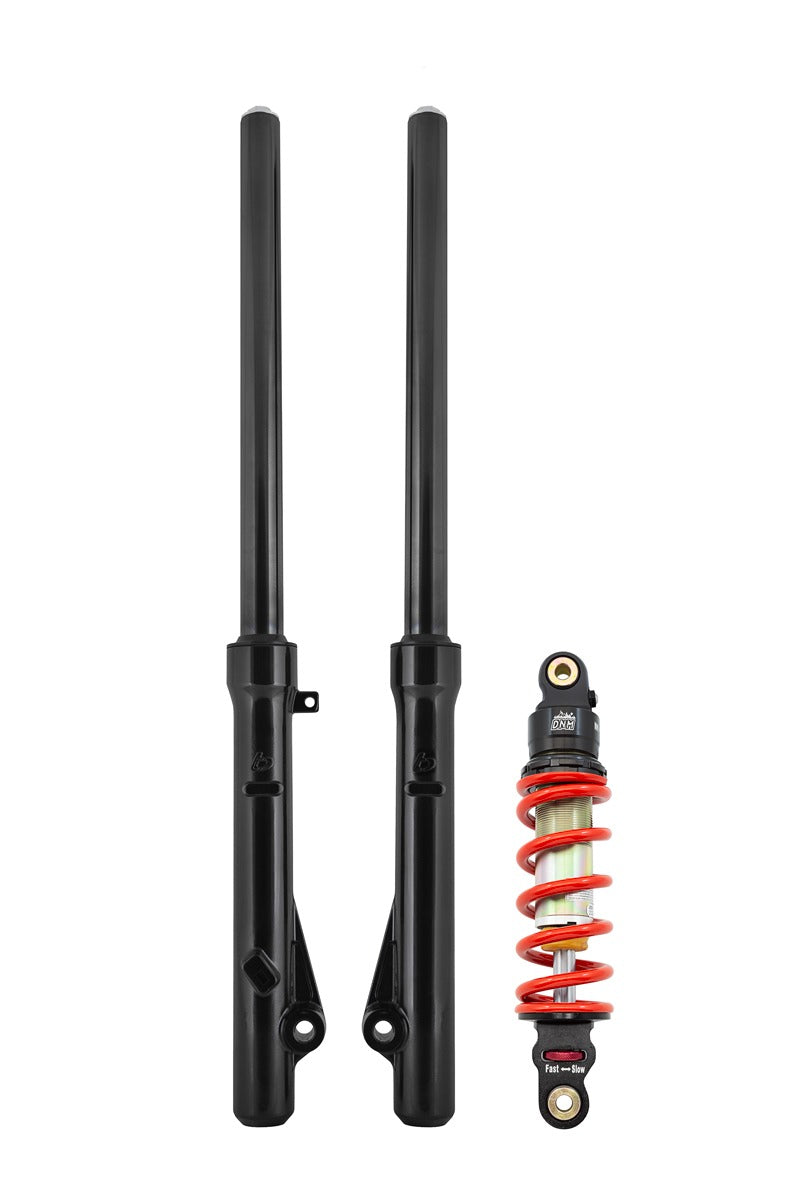 TB Forks, HD springs w/Black TiN Coated uppers, & 315# DNM Shock kit – CRF110