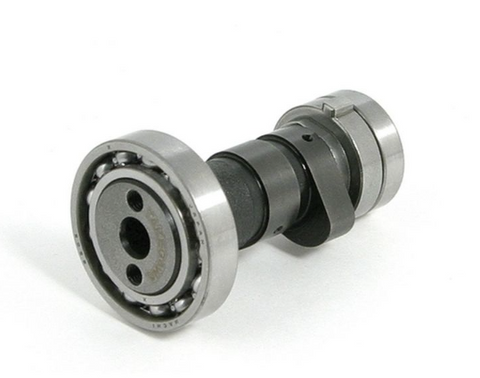 Takegawa Camshaft for +R or V2 Heads - Factory Minibikes