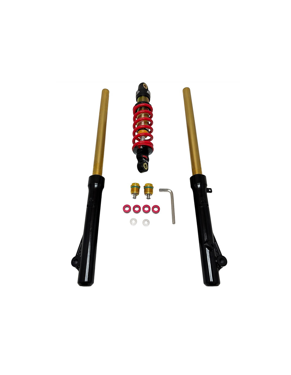 TB Suspension kit, gold with adjusters 350# – CRF110