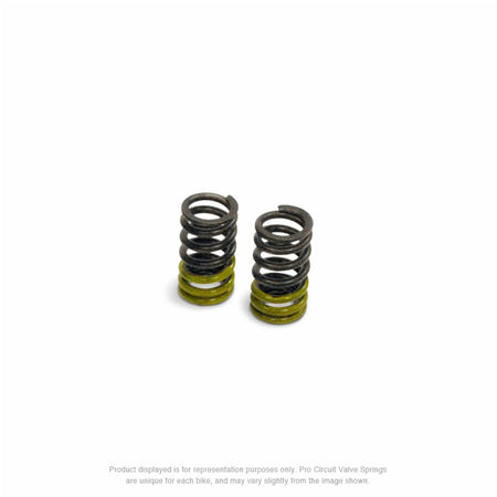 Pro Circuit HD Valve Springs - KLX110 - Factory Minibikes