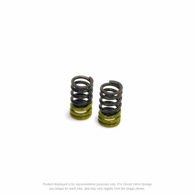 Pro Circuit HD Valve Springs - KLX110 - Factory Minibikes