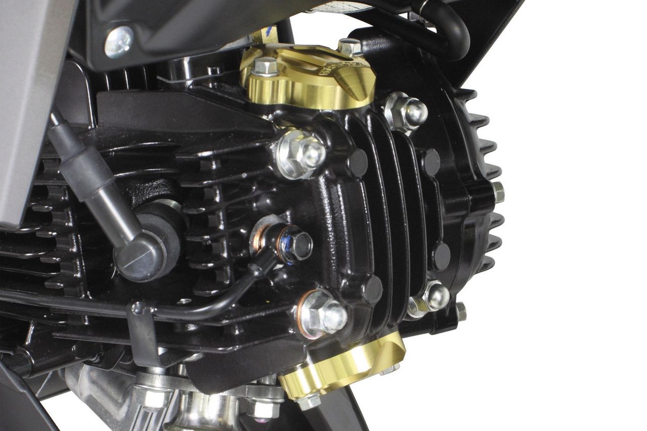 【kkpp】 Fork cap pair Kawasaki Ninja ZX10 ZX10R ZX1000 08-10 11065