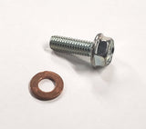 Cam Chain Tensioner Sealing Bolt and Washer - Factory Minibikes