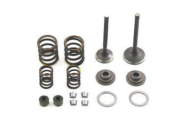 Replacement Valve Kit - Zongchen ZS Heads - YX160 - TBW0599 - Factory Minibikes