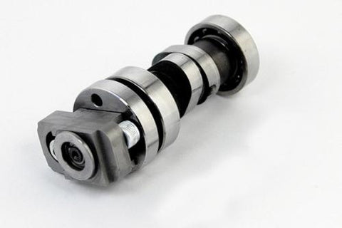 Takegawa Decompression Camshaft for +R or V2 Heads - Old Cam Chains - Factory Minibikes